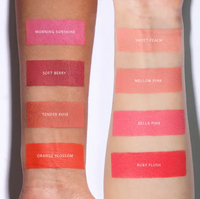 Moira Signature Ombre Blush - 02 Tender Rose