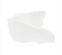 Sia Botanics Prickly Pear Daily Moisturizer